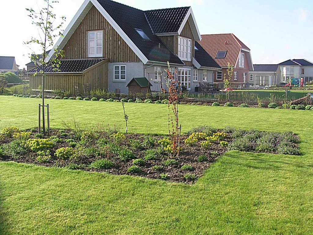 Beplantning – arbejde og resultat 3